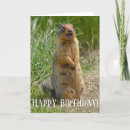 Suche nach präriehunde karten Nagetier