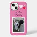 Recherche de de chien coques Chat