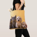 Recherche de chaton sacs Chiot