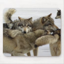 Suche nach stapel mousepads Tier