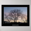Recherche de arbre nu posters Photographie