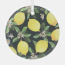 Suche nach zitrusfrucht ornamente Illustration