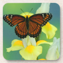 Suche nach scheren untersetzer Schmetterling