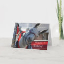 Recherche de mule cartes postales Blanc