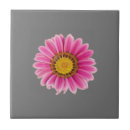 Recherche de roses roses carreaux Printemps