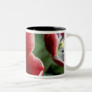 Recherche de keukenhof tasses Parc