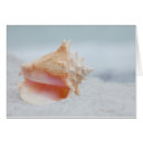 Suche nach tritonshorn postkarten Sand