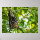 Suche nach ear poster Fur