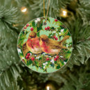 Suche nach weihnachtsvögel ornamente Rot
