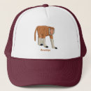 Recherche de singe casquettes Drôle