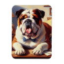 Suche nach nicht englisch magnete Bulldogin
