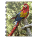 Recherche de perroquet carnets Animaux