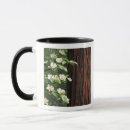 Recherche de fleur de cornouiller tasses Flore