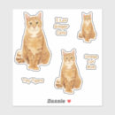 Recherche de tigre orange autocollants Chat tigré