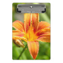 Recherche de fleurs porte blocs Photographie