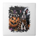 Suche nach boston terrier fliesen Wolf