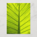 Suche nach ader poster Alexandria
