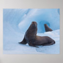 Suche nach eisberg poster Alaska