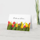 Suche nach bunte tulpe Blumen