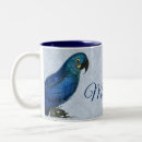 Recherche de perroquet tasses Macaw