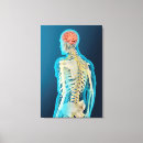 Recherche de épine dorsale art 3d