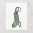 Suche nach chamaeleon poster Volle länge