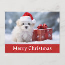 Recherche de cha cartes postales Mignon