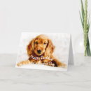 Suche nach cocker spaniel karten Niedlich