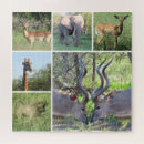 Suche nach antilopen puzzle Natur