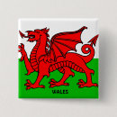 Suche nach wales buttons Drache