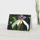 Recherche de iris vœux cartes L'