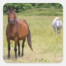 Recherche de mares autocollants Ferme