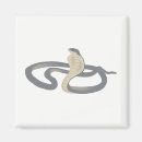Recherche de cobra magnets Reptile