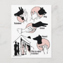 Recherche de bite cartes postales Humour