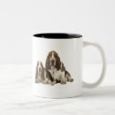 Recherche de bassets tasses Pour tous