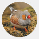 Recherche de doigts autocollants Oiseau