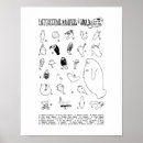 Recherche de manatee posters Mammal