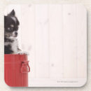 Suche nach eimer untersetzer Horizontal