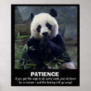 Recherche de panda drôle posters Mignon