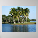 Recherche de botanic posters Nature