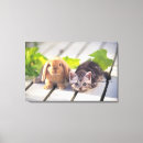 Suche nach kaninchen kunst Blatt