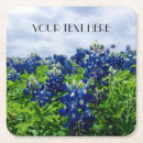 Suche nach bluebonnet untersetzer Lupine