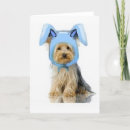 Recherche de dog pâques cartes Lapin