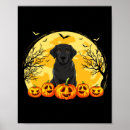 Suche nach labrador hunde poster Magischer zauber