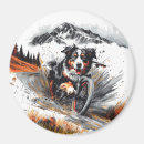 Suche nach bern magnete Aquarell
