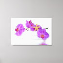 Suche nach orchids leinwandbilder Orchideen