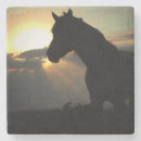 Suche nach pferd untersetzer Wild