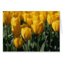 Suche nach bulb postkarten Netherland