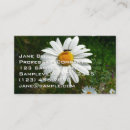Recherche de shasta cartes visite Marguerite