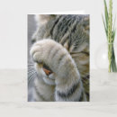 Suche nach katzenbild karten Haustier
